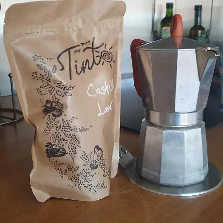 Loft De Charme Saint Cyprien - Clim - Terrasse 公寓 圖盧茲