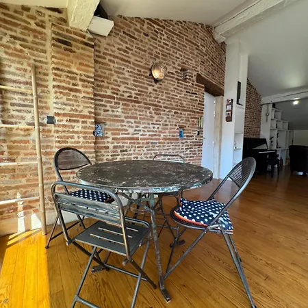 Appartement Loft De Charme Climatise Et Sa Terrasse Toulouse