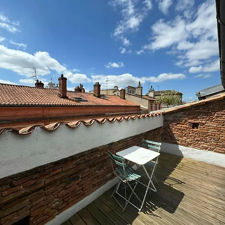 Апартаменты Loft De Charme Climatise Et Sa Terrasse Тулуза