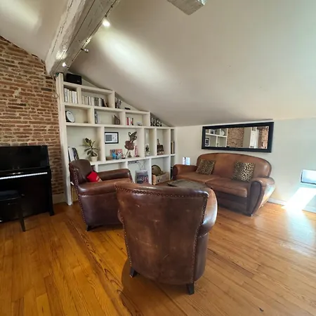 Loft De Charme Climatise Et Sa Terrasse Тулуза