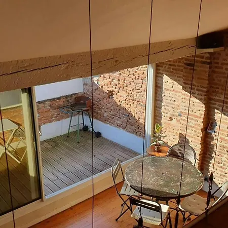 Loft De Charme Climatise Et Sa Terrasse Тулуза