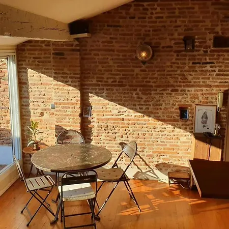 Апартаменты Loft De Charme Saint Cyprien - Clim - Terrasse Тулуза
