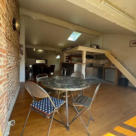 Loft De Charme Climatise Et Sa Terrasse Апартаменты Тулуза