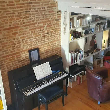 Loft De Charme Climatise Et Sa Terrasse Тулуза
