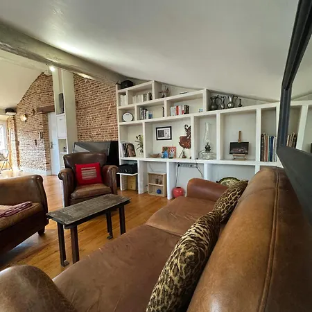 Loft De Charme Saint Cyprien - Clim - Terrasse