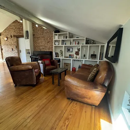 Apartmán Loft De Charme Saint Cyprien - Clim - Terrasse Toulouse