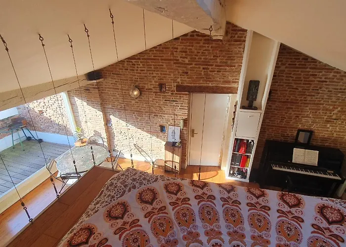 Loft De Charme Climatisé Et Sa Terrasse Appartement Toulouse