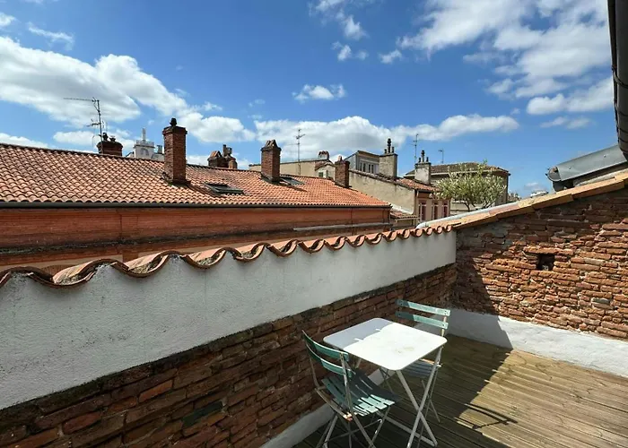 Appartement Loft De Charme Climatisé Et Sa Terrasse Toulouse