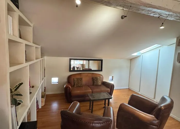 Loft De Charme Climatisé Et Sa Terrasse Appartement