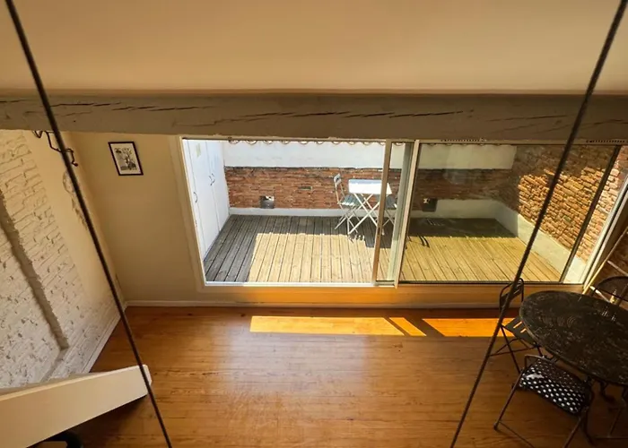 Loft De Charme Climatisé Et Sa Terrasse * Toulouse