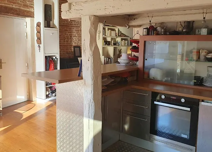 Loft De Charme Climatisé Et Sa Terrasse * Toulouse