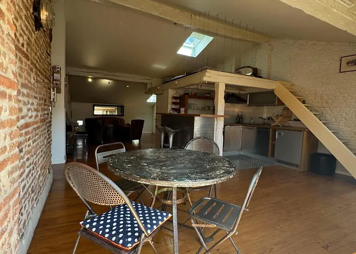 Loft De Charme Climatisé Et Sa Terrasse Appartement Toulouse