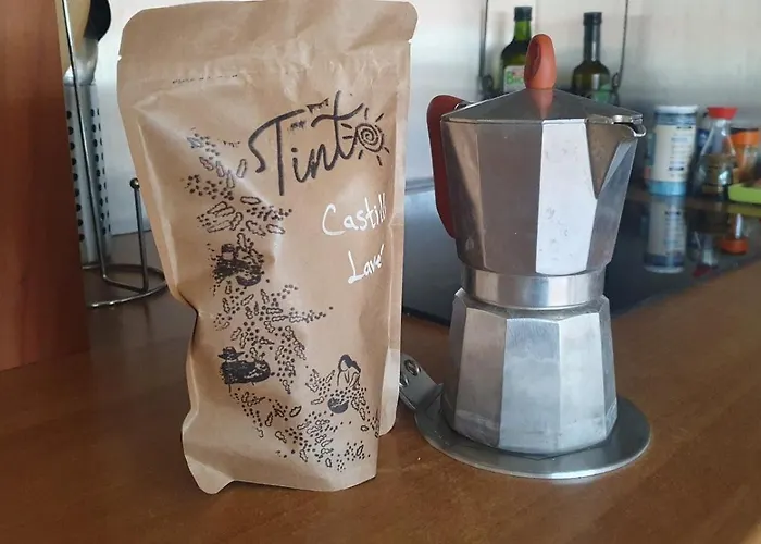 Loft De Charme Climatisé Et Sa Terrasse Appartement Toulouse