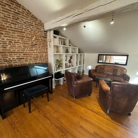 Loft De Charme Saint Cyprien - Clim - Terrasse Toulouse