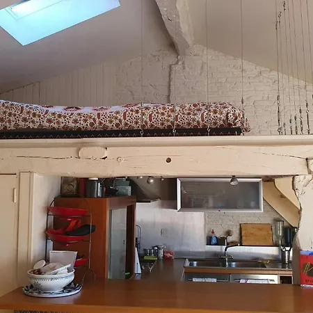 Apartman Loft De Charme Climatise Et Sa Terrasse Toulouse