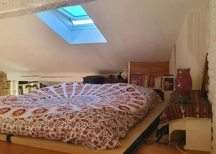 公寓 Loft De Charme Saint Cyprien - Clim - Terrasse 圖盧茲