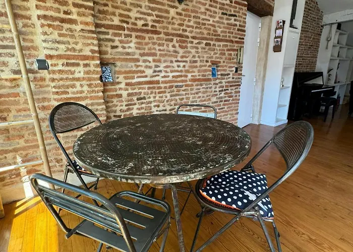 Loft De Charme Saint Cyprien - Clim - Terrasse 圖盧茲